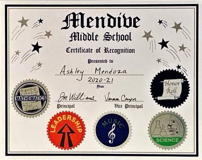 Multiple Category Certificates