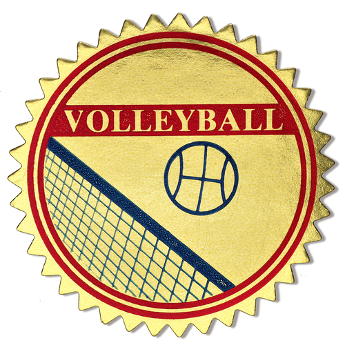 Volleyball